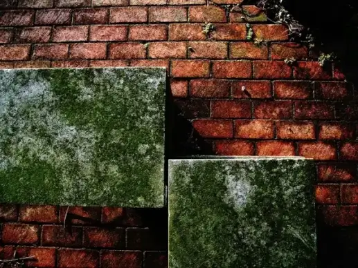 bricks