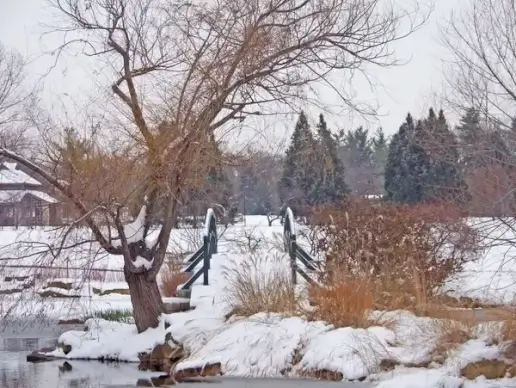 bridge over pond