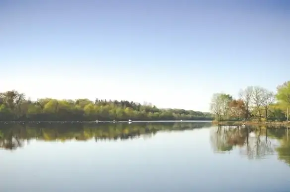 bright calm forest lake landscape mirror mist