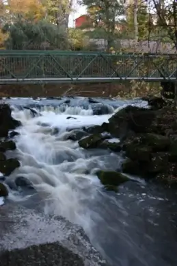 brook