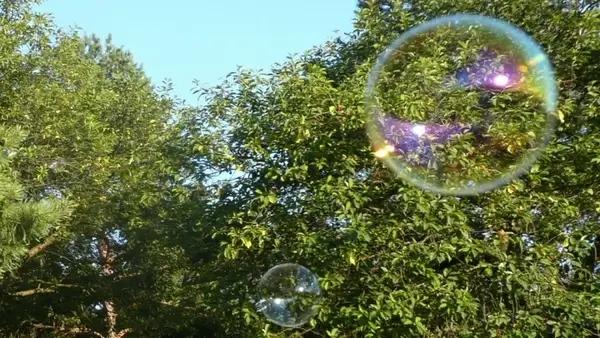 bubbles