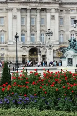 buckingham palace and flowers