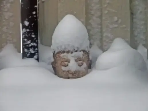 buddha head