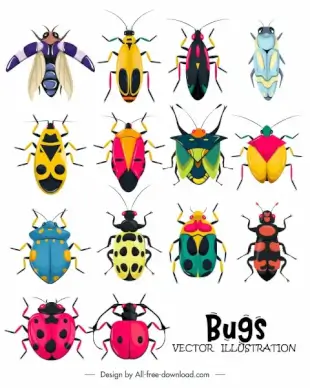 bugs insects icons colorful symmetric design