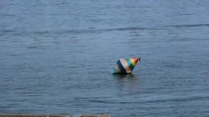 Buoy