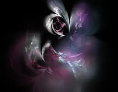 burgundy rose fractal