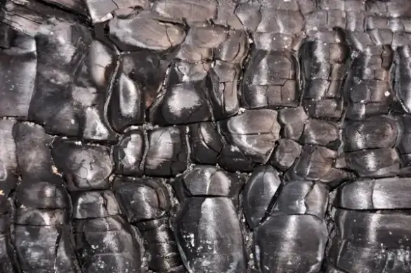burnt wood texture