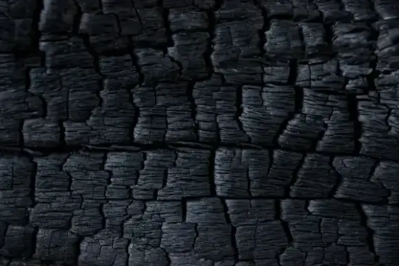 burnt wood texture