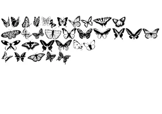 Butterflies