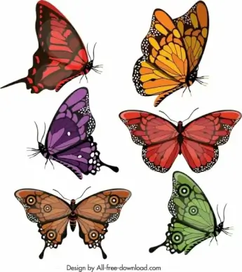 butterflies icons collection multicolored modern shapes design