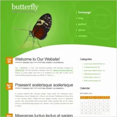 butterfly