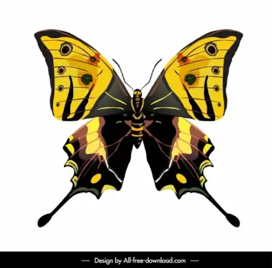 butterfly icon colorful modern flat symmetric sketch