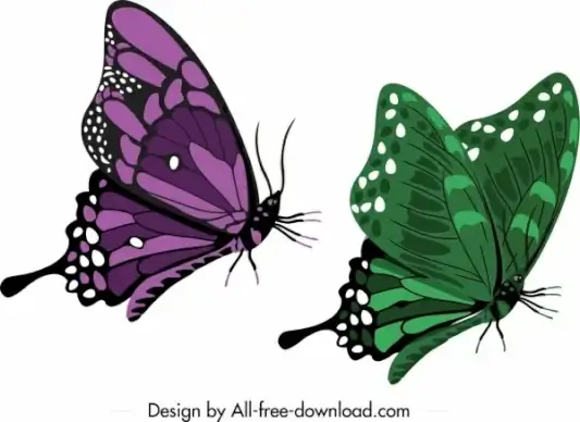 butterfly icons dark green violet sketch mockup design