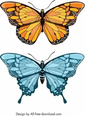 butterfly icons yellow blue decor modern design