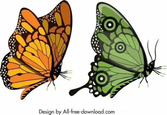 butterfly icons yellow green sketch