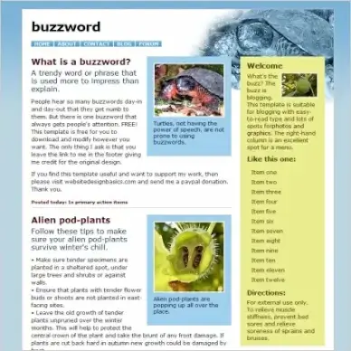 Buzz word Template