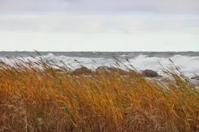 by the sea
