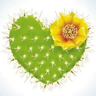 cactus flower romantic heartshaped pattern vector
