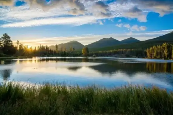 calm daytime evening evergreen forest idyllic lake