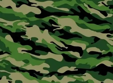 Camouflage background