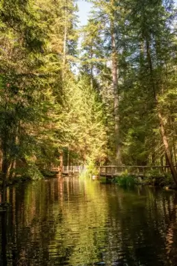 canada countryside picture tranquil lake forest elegance
