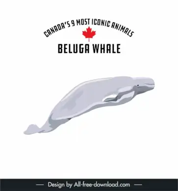 canadian animal beluga whale icon dynamic cartoon sketch 