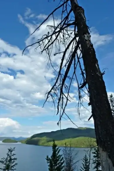 canim lake british columbia canada