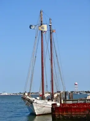 cape may new jersey schooner
