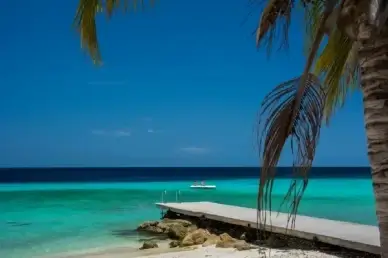 caribbean beach