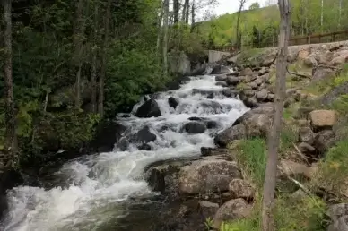 cascading brook in the adirondack mountains new york