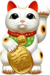 Cat 1