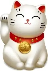 Cat 6