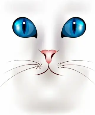cat face portrait closeup design blue eyes