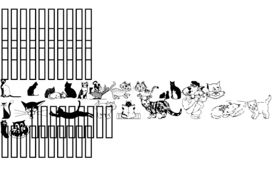 Cats CSP