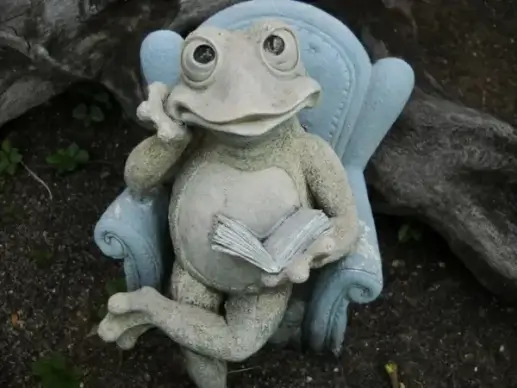 ceramic garden frog