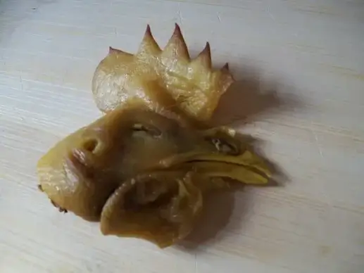 chicken head