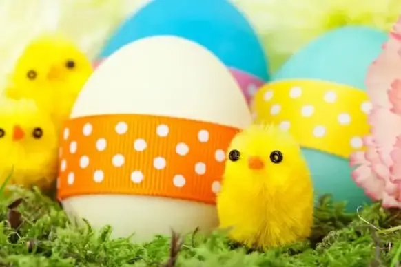 chicks and easter eggs