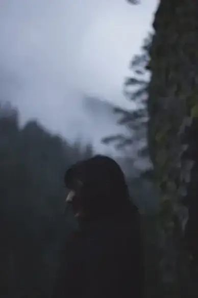 child dark dof fog forest girl landscape light