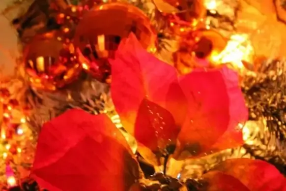 christmas background 0009