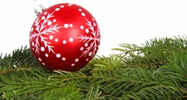 christmas bauble and green branches