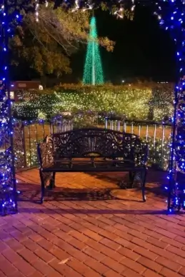 christmas bench