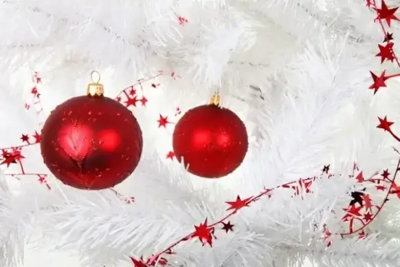 christmas decoration on white tree