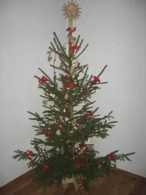 christmas tree