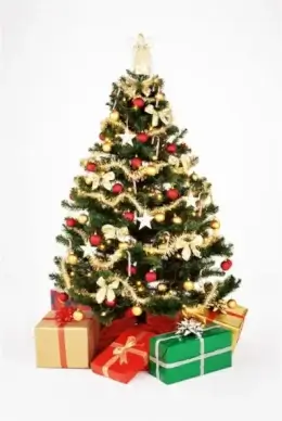 christmas tree covered with gift