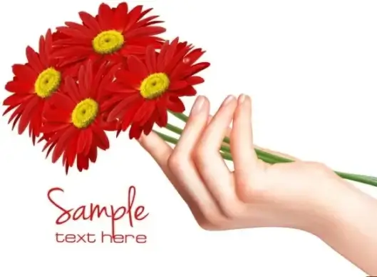 chrysanthemum 02 vector