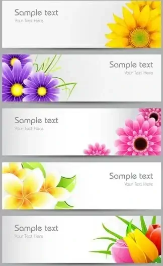 chrysanthemum banner banner vector