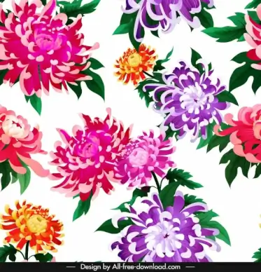 chrysanthemum flora background bright colorful decor blooming sketch