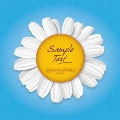 chrysanthemum petal modern background vector