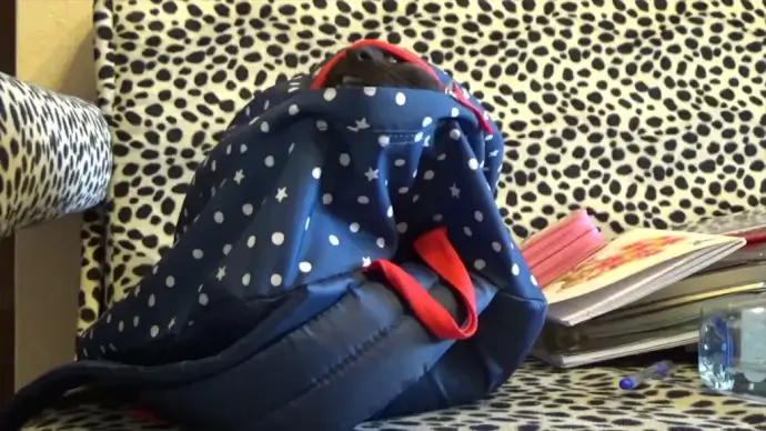 clip of black cat popping out from backpack