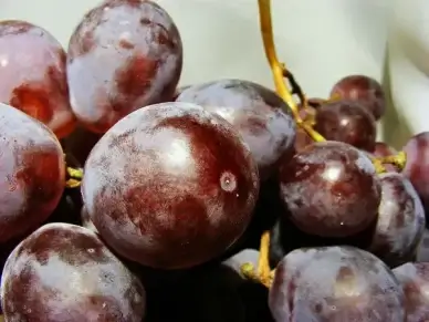 close grapes